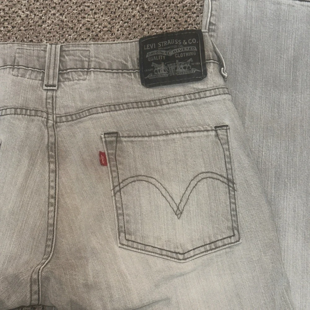 Levis levis 511